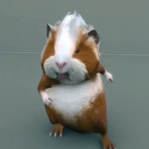 Кто озвучивает Харли